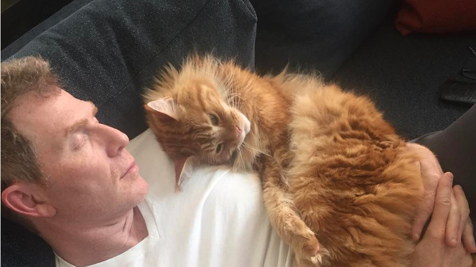 Bobby Flay Only Takes Cat Naps With InstagramFamous Cats Eater