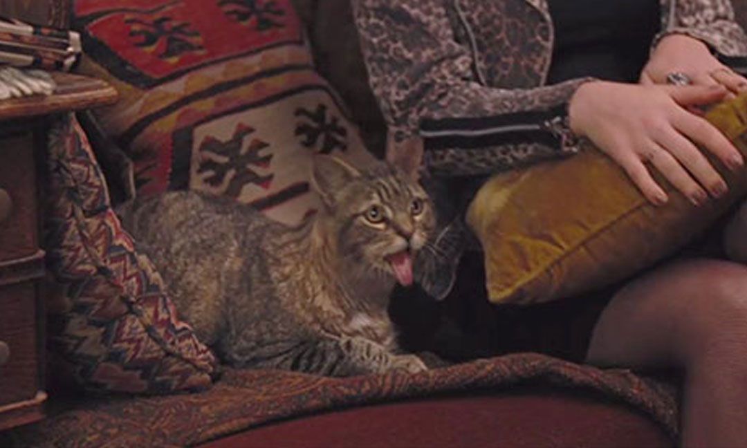 A grey and brown CG cat sitting on a couch next to a woman opens its mouth and sticks out its tongue in the movie Fun Size