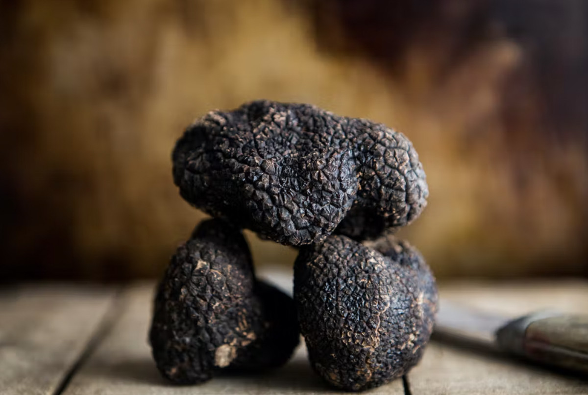 A trio of black truffles