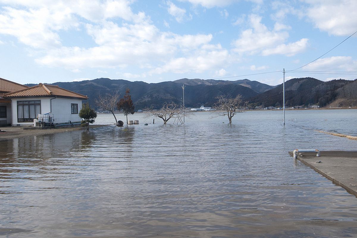 Flooded Fields in Miyagi Prefecture