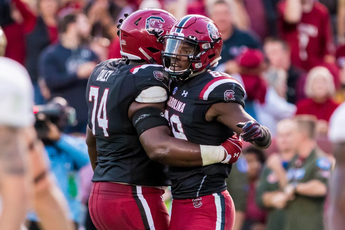 Nov 18, 2017; Columbia, SC, USA; South Carolina Gamecocks offensive lineman Dennis Daley (74) and Wofford Terriers tight end Nick Karas (89) celebrate a play against the Wofford Terriers in the first half at Williams-Brice Stadium. Mandatory Credit: Jeff Blake-USA TODAY Sports