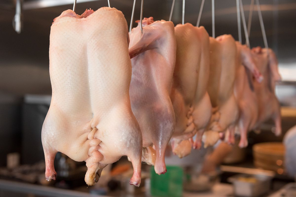A closeup view of a row of raw, headless chickens.