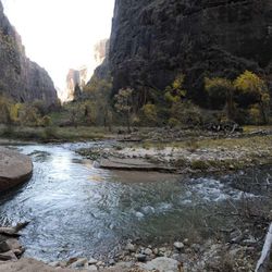 Big Bend in Zion National Park