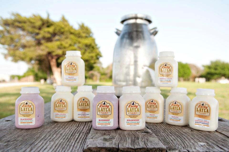Bottles of Lucky Layla Farms milk sit on a wooden picnic table outside. 