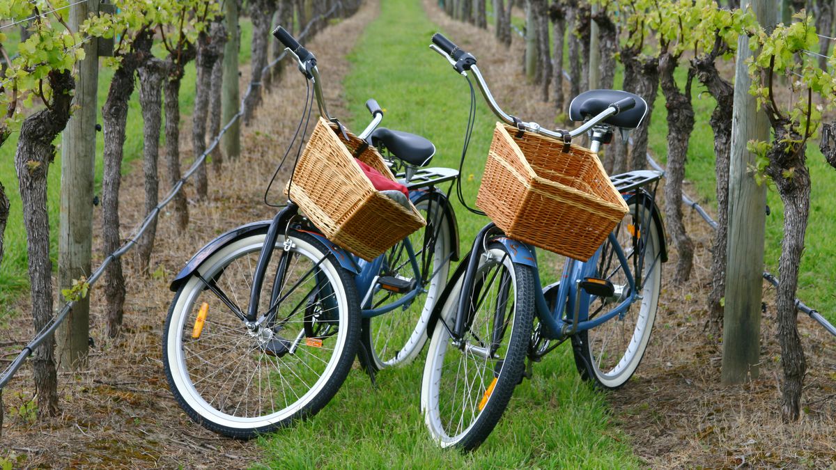 Two bicycles with painted blue frames and wicker baskets hanging from the handlebars sit in the middle of a vineyard. There are rows of vines on both sides of the bicycles.