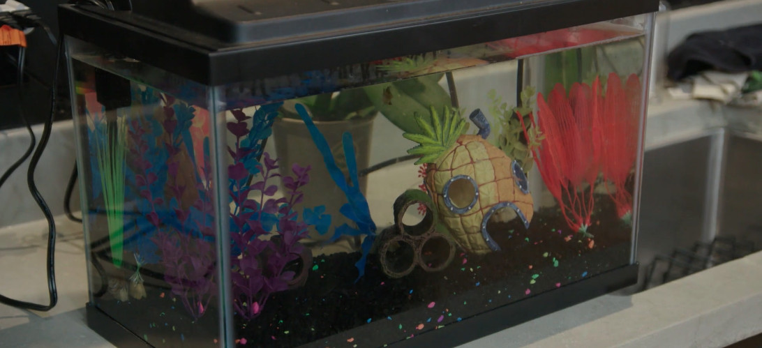 A fish tank with a pineapple house from ‘SpongeBob’