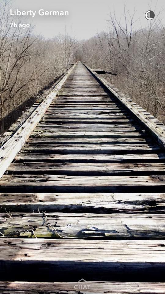 A vertical photo of the length of an old, disused railroad bridge, surrounded by the tops of trees.