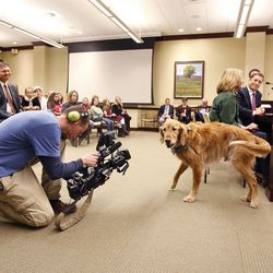 Alli Despain's fourth-grade class attended  the Senate Government Operations and Political Subdivisions Committee discuss a bill to designate the Golden Retriever as the state domestic animal in Salt Lake City Wednesday, Feb. 4, 2015. Here Maureen Kilgour talks about her pet, Gus, a registered therapy dog.