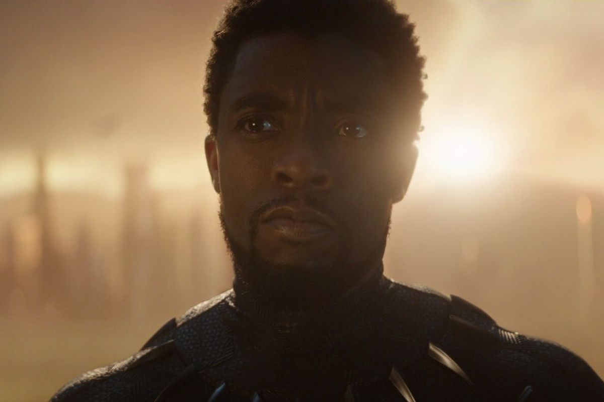 Chadwick Boseman’s Black Panther emerges from a portal in Avengers: Endgame