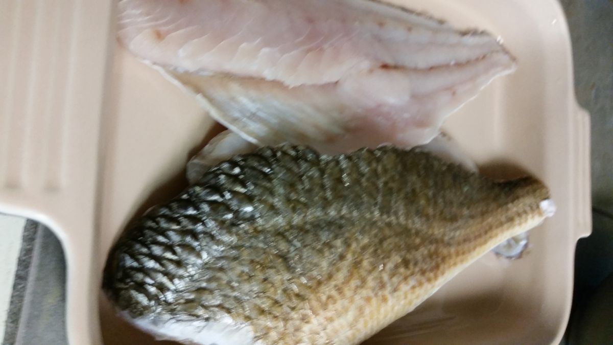 Grilled Redfish 3