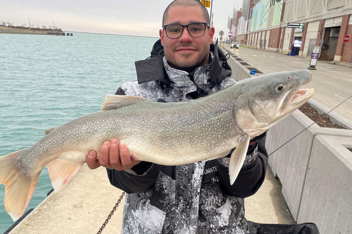 Jayson Hernandez holds his big lake trout, one of many surprise catches by perch anglers on the Chicago lakefront. Provided photo