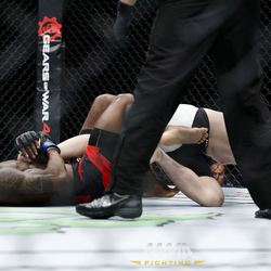 UFC 204 photos