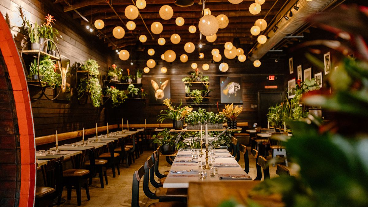 A wooden dining room with sparkling lights and lots of plants.