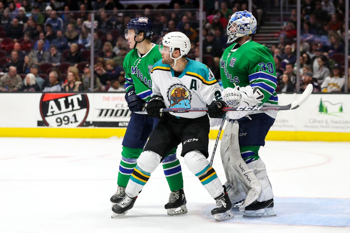 AHL: JAN 03 Milwaukee Admirals at Cleveland Monsters