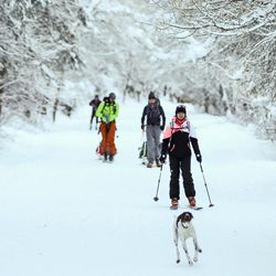 Anna Ruminer, Eric Wiesner, Chris Williams, Debbie Ramirez and Ada, a German shorthaired pointer, left to right, ski up the road en route to an overnight stay in the Big Water Yurt in Millcreek Canyon while the temperature hovers around zero degrees on Friday, Jan. 6, 2017.