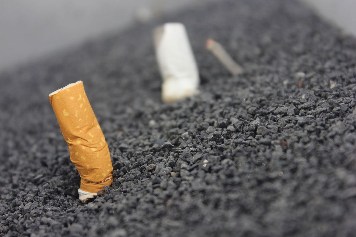cigarette butts in road