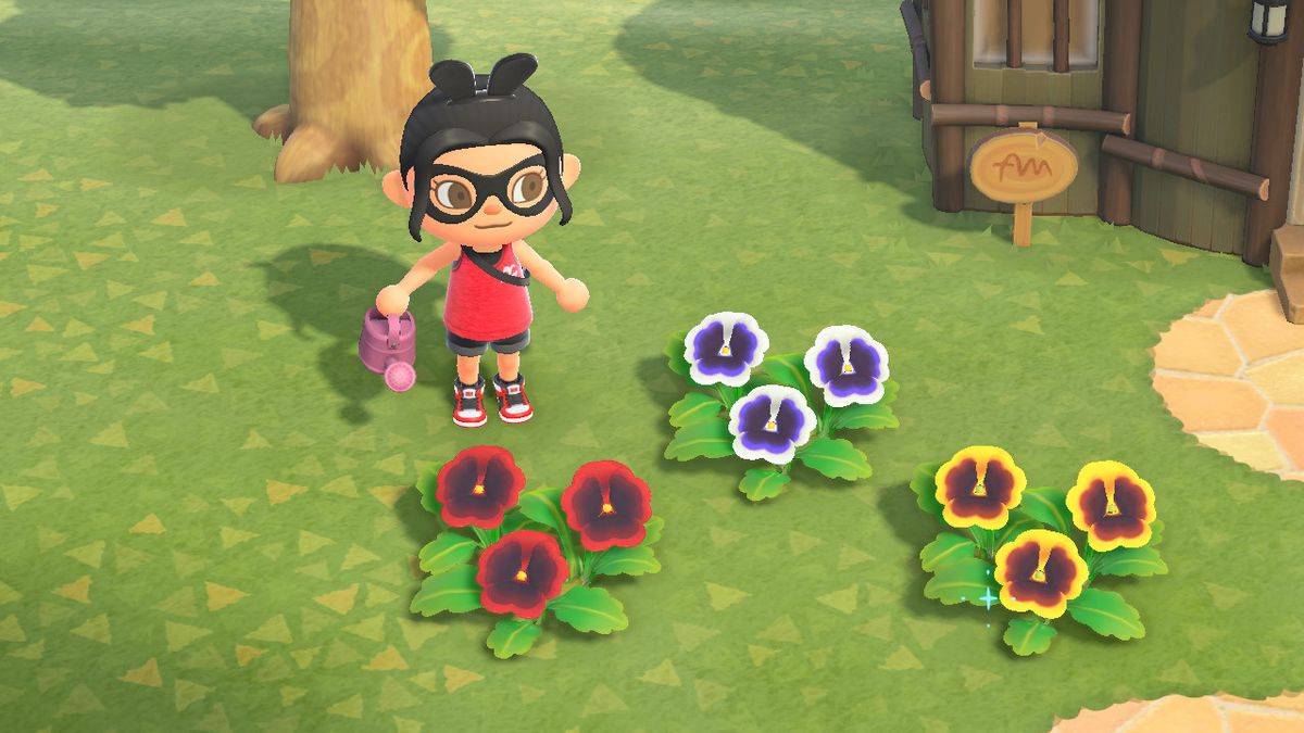 An Animal Crossing character stands around various colored pansies