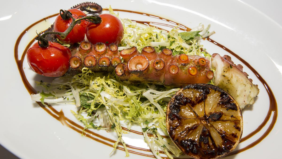 A large grilled octopus tentacle on a white plate with tomatoes and frisee.