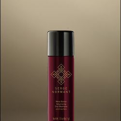 Serge Normant Travel Size Meta Revive Dry Shampoo with Cedar Bark, <a href="http://www.shopsergenormant.com/index.php?crn=220&rn=436&action=show_detail">$15</a>. "This is my go-to easy-to-pack dry shampoo spray that I never leave home without. If I go awa