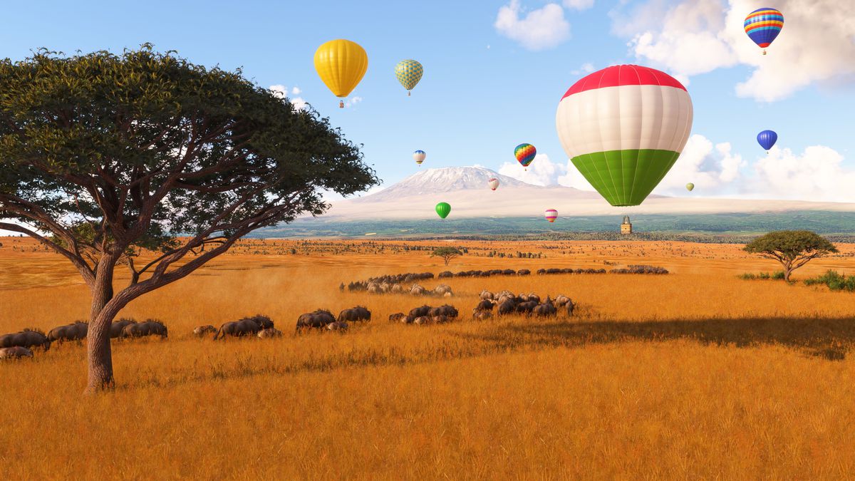 A fleet of hot air balloons rise over the African savannah.