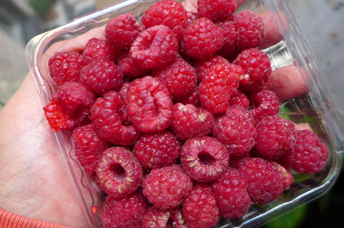 A plastic box of raspberries.