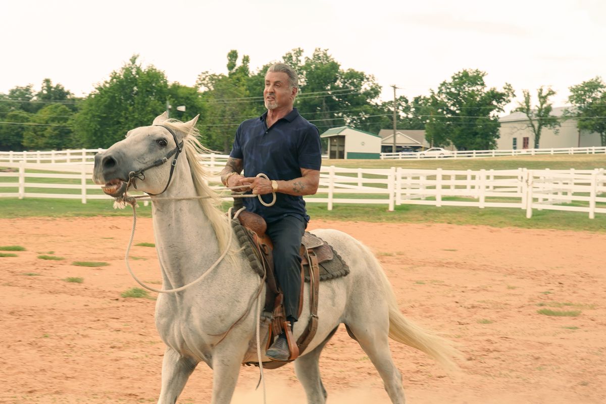 Sylvester Stallone riding a horse in a paddock.