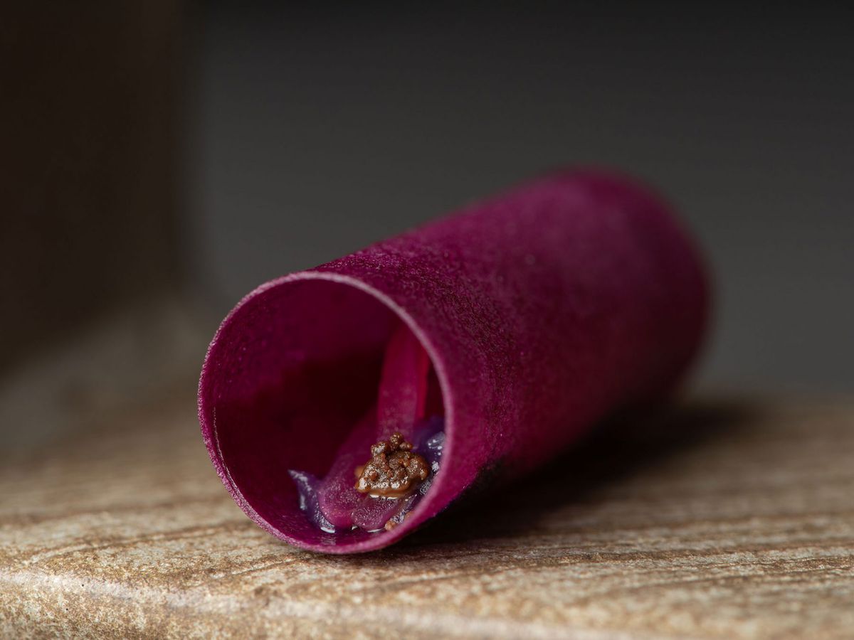 A molecular dish, a thin purple tube with a tongue shaped filling.