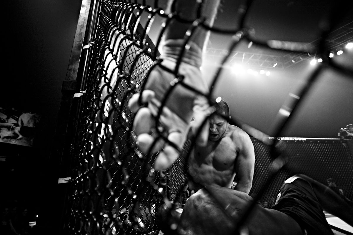 Cage Fighting in America