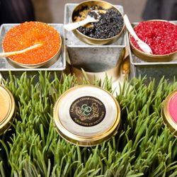 California Caviar Co.'s Deborah Keane Damond says her mission is to integrate caviar into everyday life and that her kids eat the bacon infused trout roe on bagels.