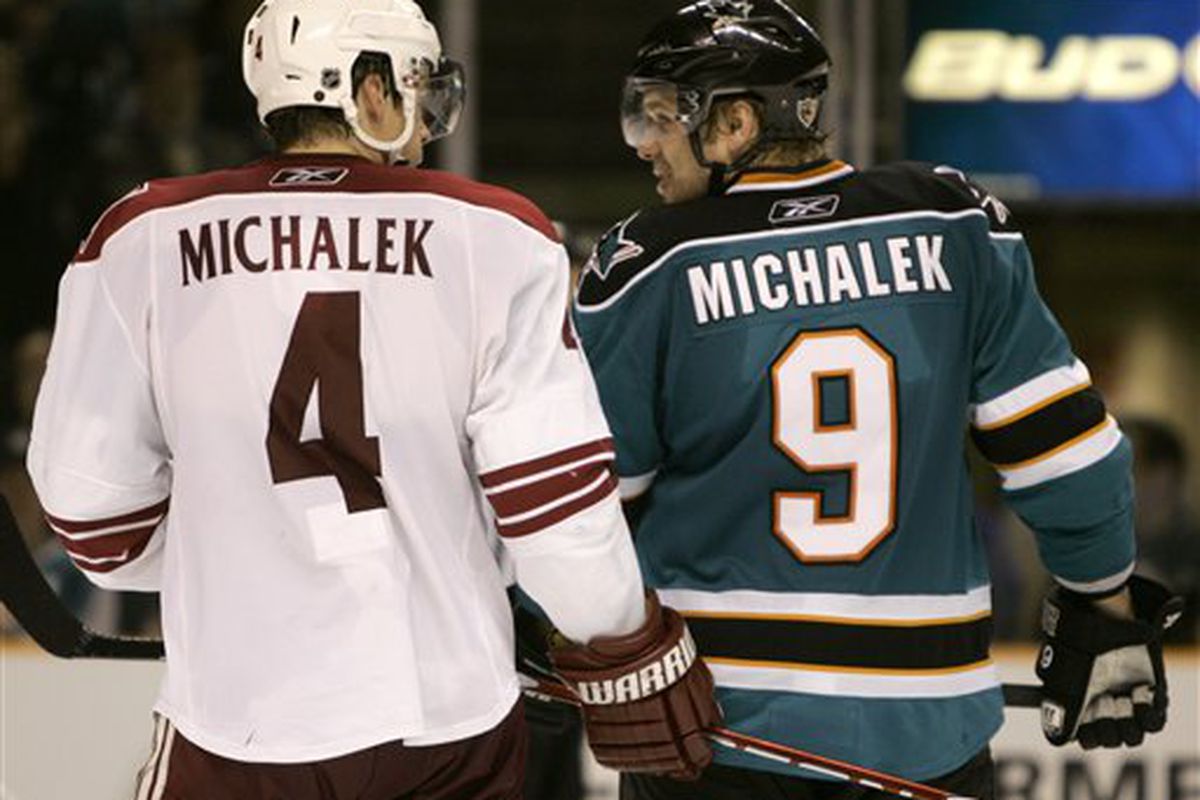 The Michalek brothers will be wearing the same jersey for the Czech Republic during the Olympics...