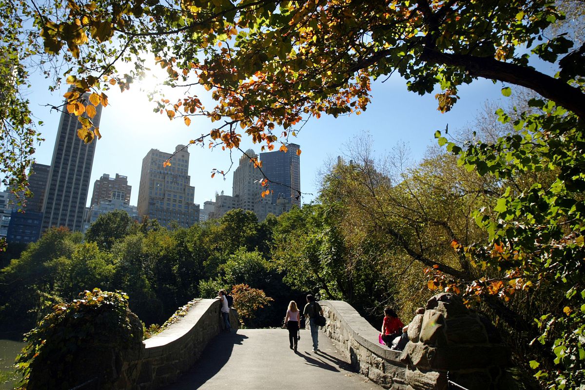 Fall Foliage Appears in Central Park