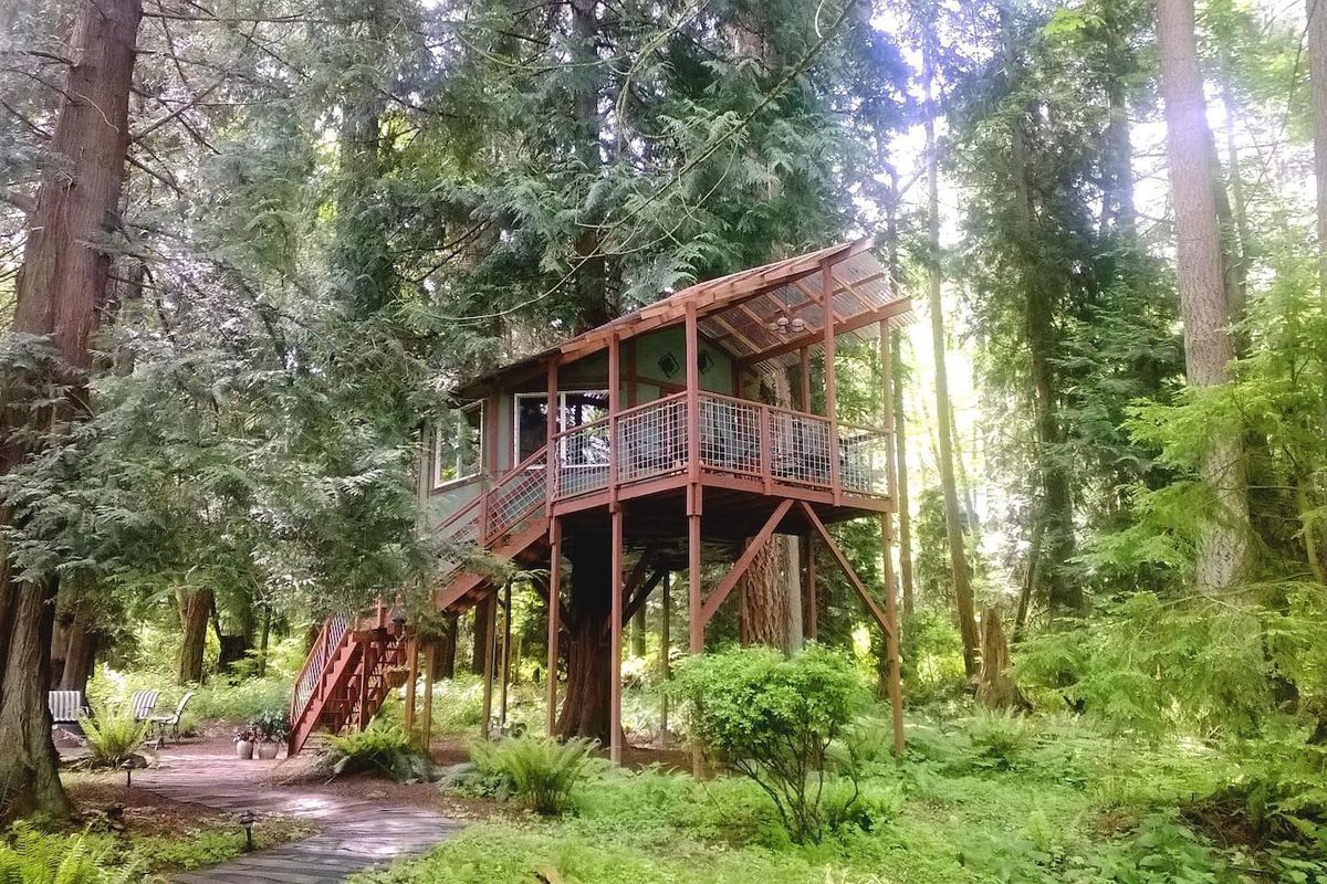 A tree house in a forest. There is a long staircase leading up to the tree house. There is an outdoor deck outside of the entrance to the tree house. The tree house sits in a clearing in a forest with many trees.