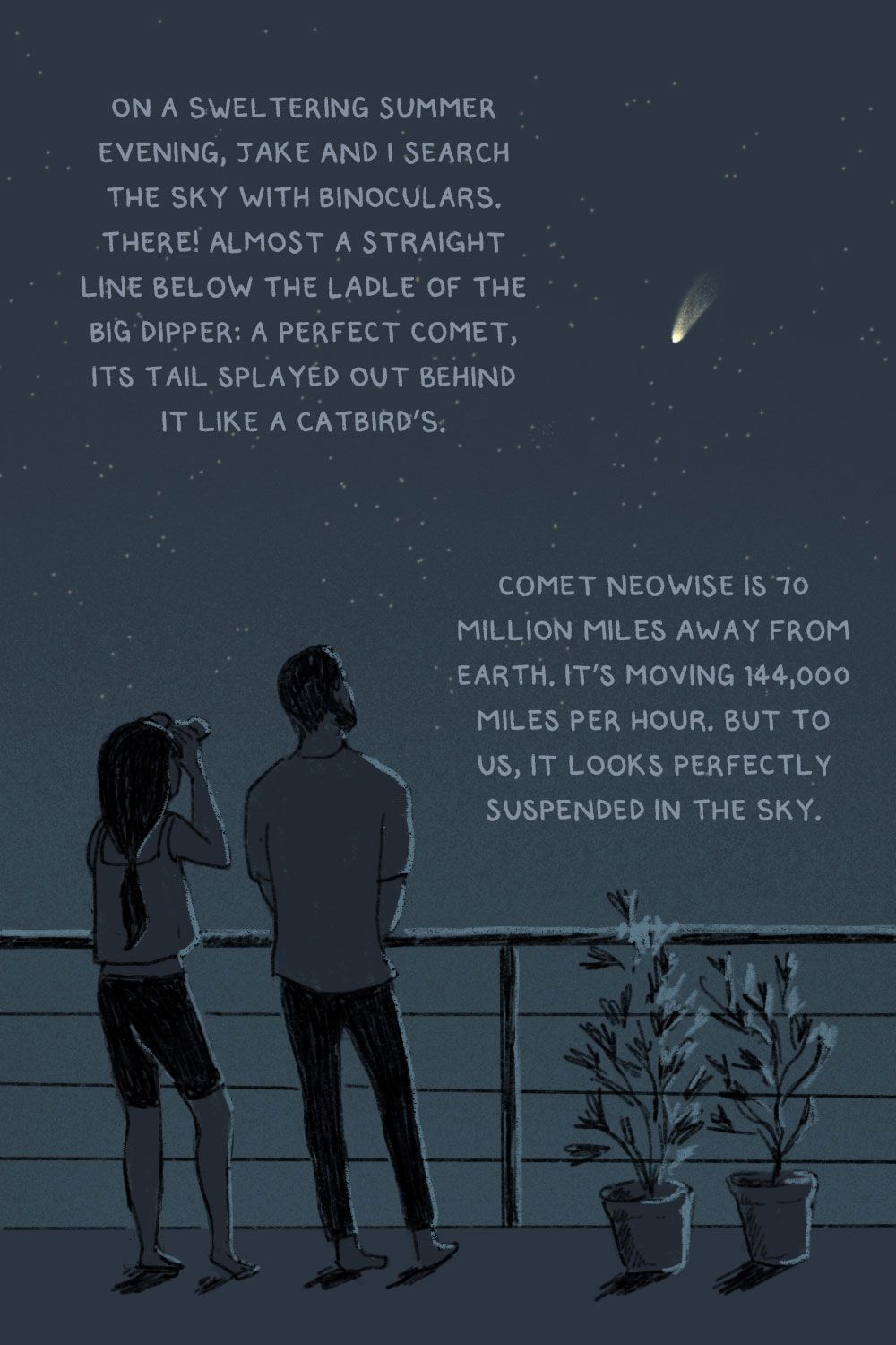 On a sweltering summer evening, Jake and I search the sky with binoculars. There! Almost a straight line below the ladle of the Big Dipper: a perfect comet, its tail splayed out behind it like a catbird’s. Comet Neowise is 70 million miles away from Earth. It’s moving 144,000 miles per hour, but to us, it looks perfectly suspended in the sky.