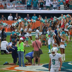 Dec. 15, 2013 Miami Gardens, FL - Miami Dolphins wide receiver Brian Hartline is introduced prior to the team's game against the New England Patriots.