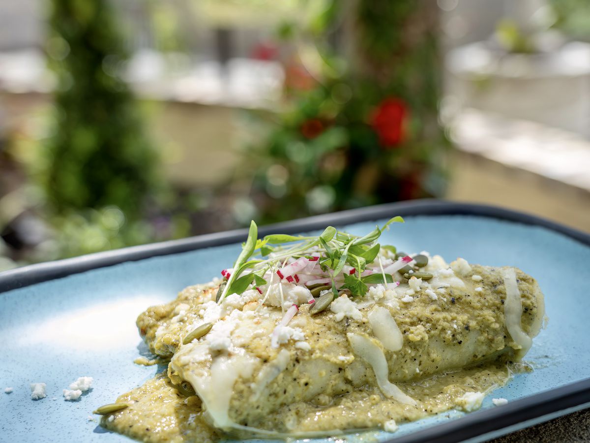 Verde Garden’s suiza enchiladas, topped with micro greens, onions, and shredded and crumbled cheese.