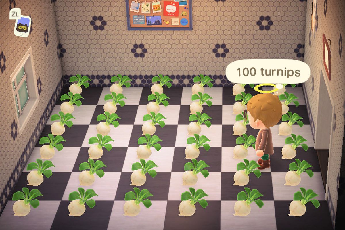Sitting on a whole mess of Turnips in Animal Crossing: New Horizons