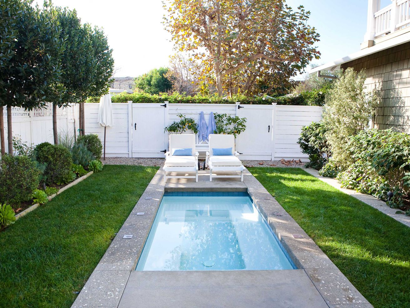 Backyard plunge pool surrounded by green landscaping and two lounge chairs. 