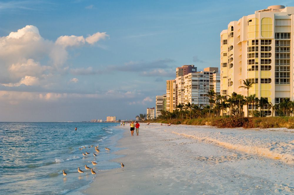 A beach in Naples, Florida. There are buildings adjacent to the beach. Birds stand on the shore.