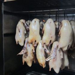 Step 6 - Roast the Duck: The duck is then hung inside an oven at 400 degrees fahrenheit  for about 45 minutes. Hanging the bird in this fashion allows more fat to drip off (see boiling pool of liquid), producing a leaner, crispier bird.