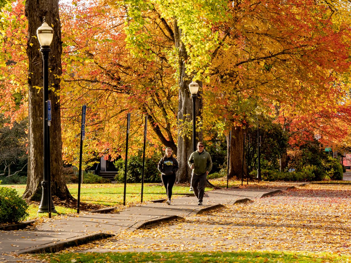Two people walk down a pathway surrounded by fall trees.