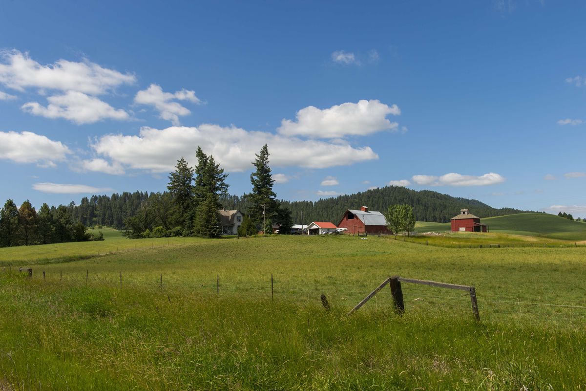 View of red barns with Kamiak Butte in background, Whitman...