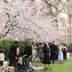 Conferencegoers stand near blossoming trees during the 189th Annual General Conference of The Church of Jesus Christ of Latter-day Saints in Salt Lake City on Sunday, April 7, 2019.