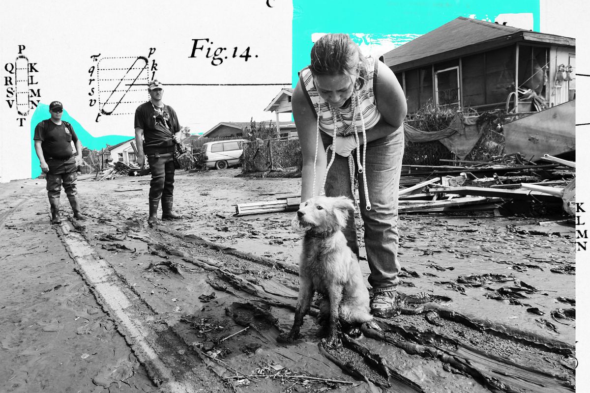 Photo illustration of a rescue worker in a disaster zone finding a dog.