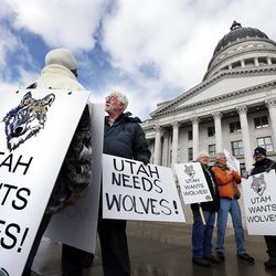 Debbie Rangel, left, talks with Bob Brister as people gather before a press conference at the Capitol in Salt Lake City on Thursday, Jan. 14, 2016, urging support for the recolonization of Mexican gray wolves in southern Utah. 