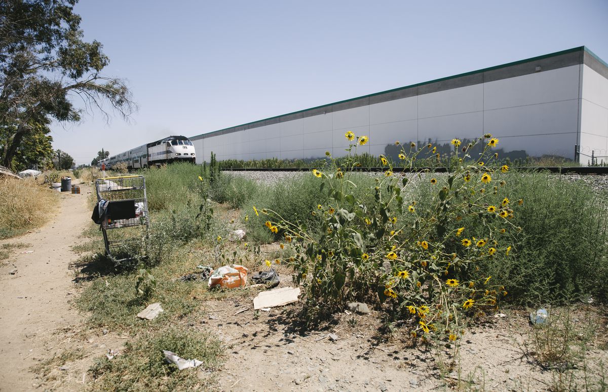 Train tracks surrounded by sunflowers, weeds, and trash.