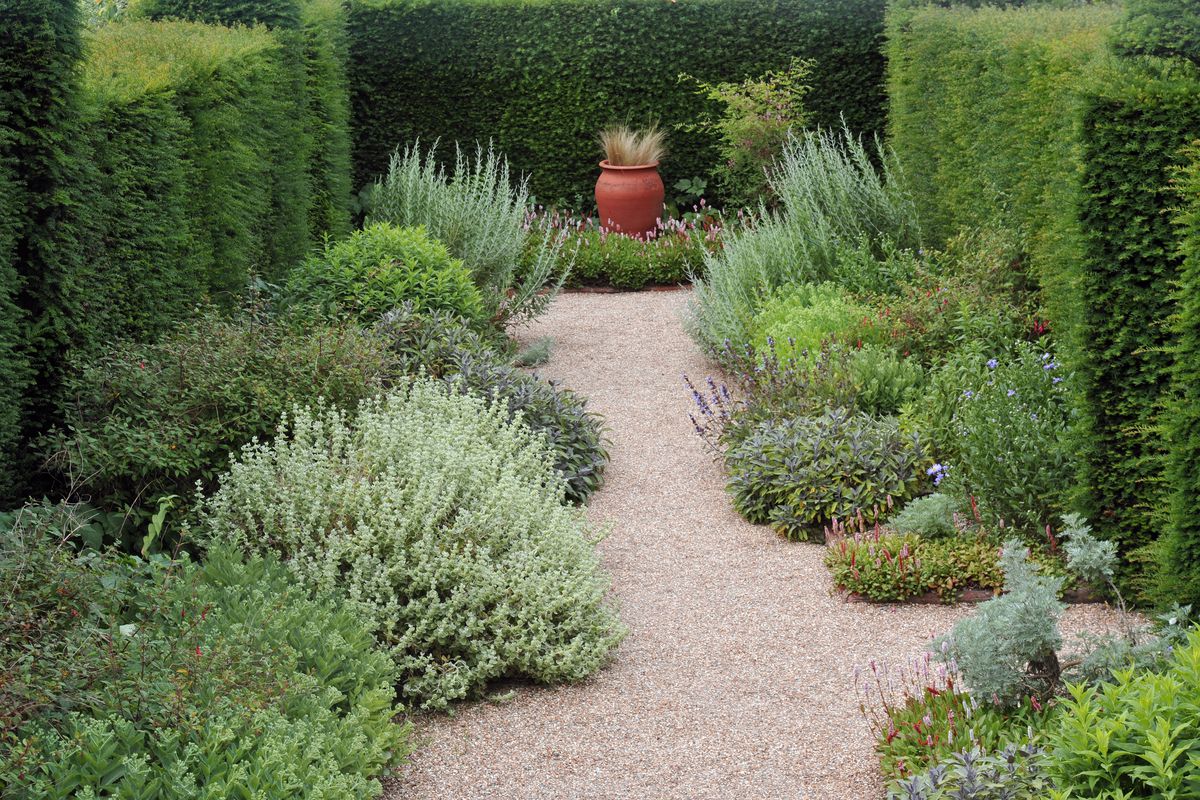 “Garden Path, England, English Culture, Flower, Flower Pot, Food And Drink, Formal Garden, Front or Back Yard, Fruits And Vegetables”, Gardens, Hedge, Herb, Nature, Plant, Plants, Topiary, Yew Tree, gravel path