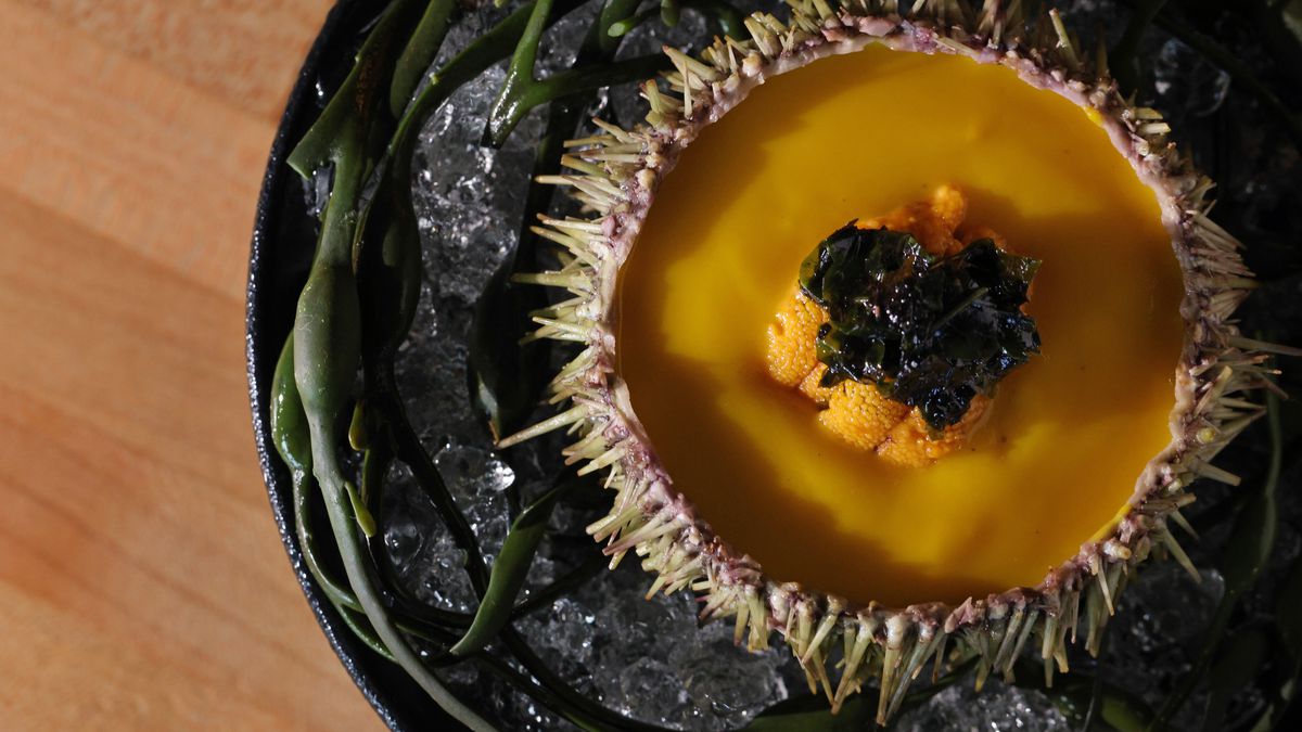 Sea urchin plated on a black dish at Nightshade Noodle Bar.