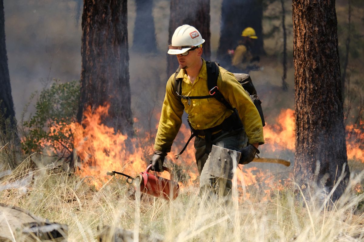 In this May 14, 2021, photo provided by the High Desert Museum, U.S. Forest Service firefighters carry out a prescribed burn on the grounds of the High Desert Museum, near Bend, Oregon. 
