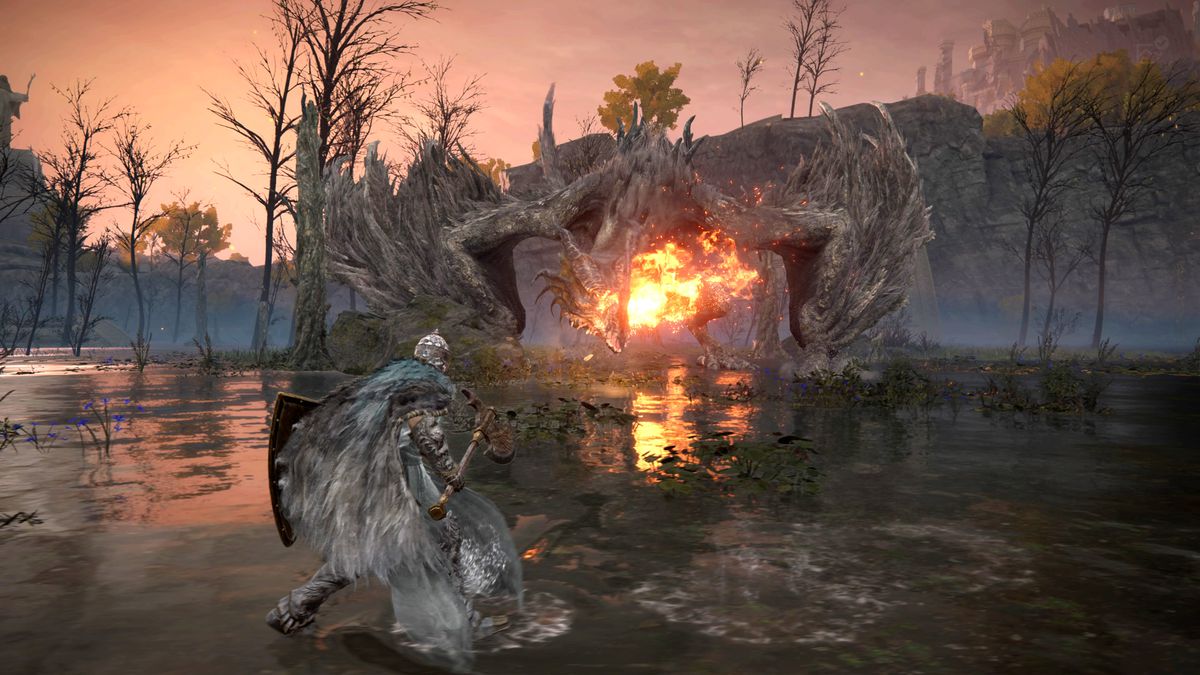 A Tarnished fights Flying Dragon Agheel at Agheel Lake in Elden Ring
