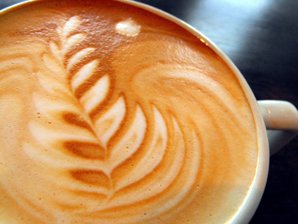 A closeup of a latte with a feathery design.